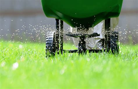 Lawn fertilizer service. Things To Know About Lawn fertilizer service. 
